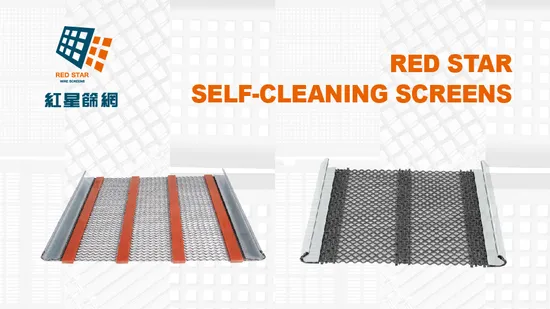 Self-Propelled Garden Grass Cutting Machine Gasoline Lawn Mower Grass Mower Grass Trimmer Rotary Mowe Weed Cutter with 252cc Petrol Engine